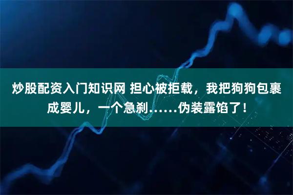 炒股配资入门知识网 担心被拒载，我把狗狗包裹成婴儿，一个急刹……伪装露馅了！